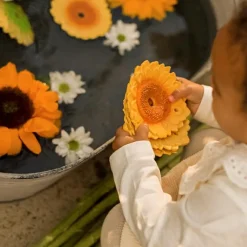 New Oli & Carol Bidelegetøj - Solsikken Sun