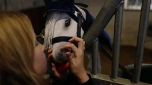 Best byASTRUP kæphest - Hvid "Sigrid"