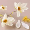 New Creativ Company Crepepapir mini - Magnoliagren