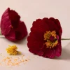 New Creativ Company Crepepapir mini - Valmuer