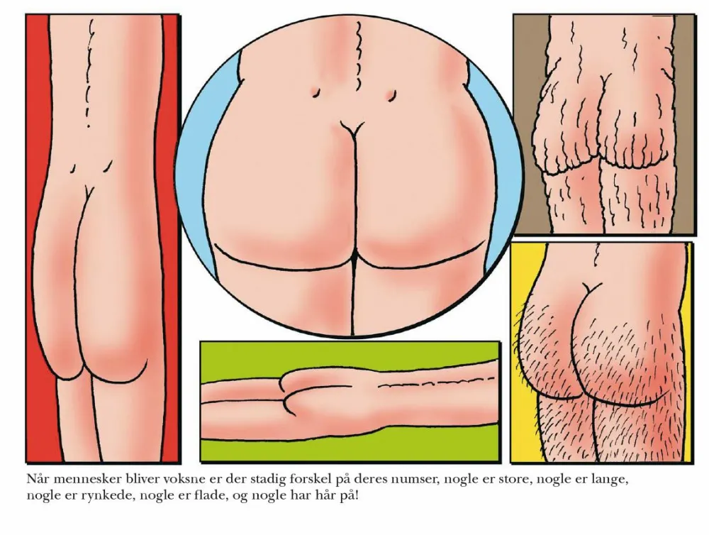 Online Den store numsebog