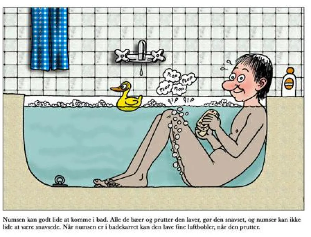 Online Den store numsebog