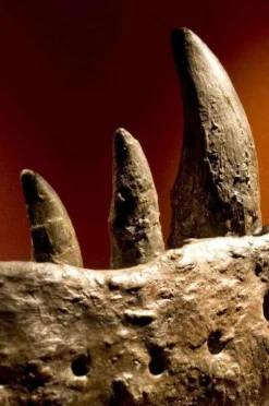 Hot Brainstorm Dias med dinosaur