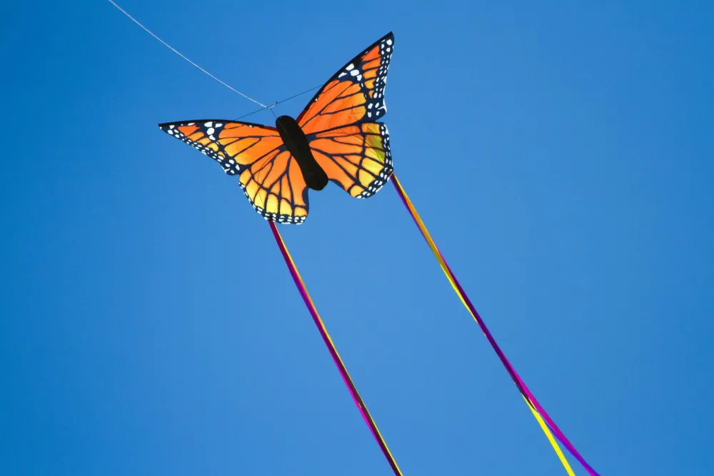 Outlet Drage - Sommerfugl 52 cm