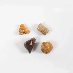 New Forskerkit D - Naturfag