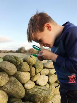 Discount Gå på opdagelse i naturen, 7 dele