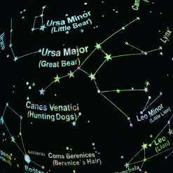 Clearance Brainstorm Globus 2-i-1