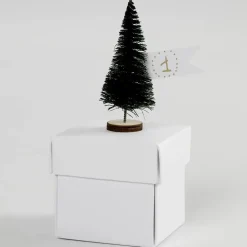 Sale Creativ Company Grantræer - Mini, 5 stk