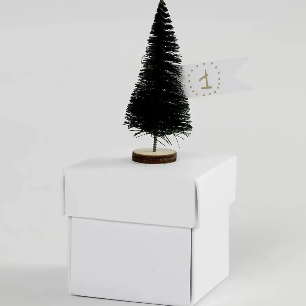 Sale Creativ Company Grantræer - Mini, 5 stk