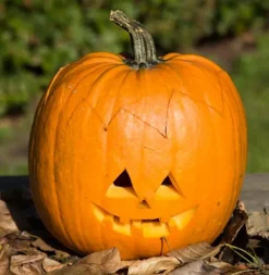 Græskar skæresæt m. 3 dele