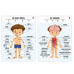 Best Gulvpuslespil m. 36 brikker - Dreng