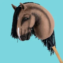 New HUMMA kæphest L dressur - Westfaler