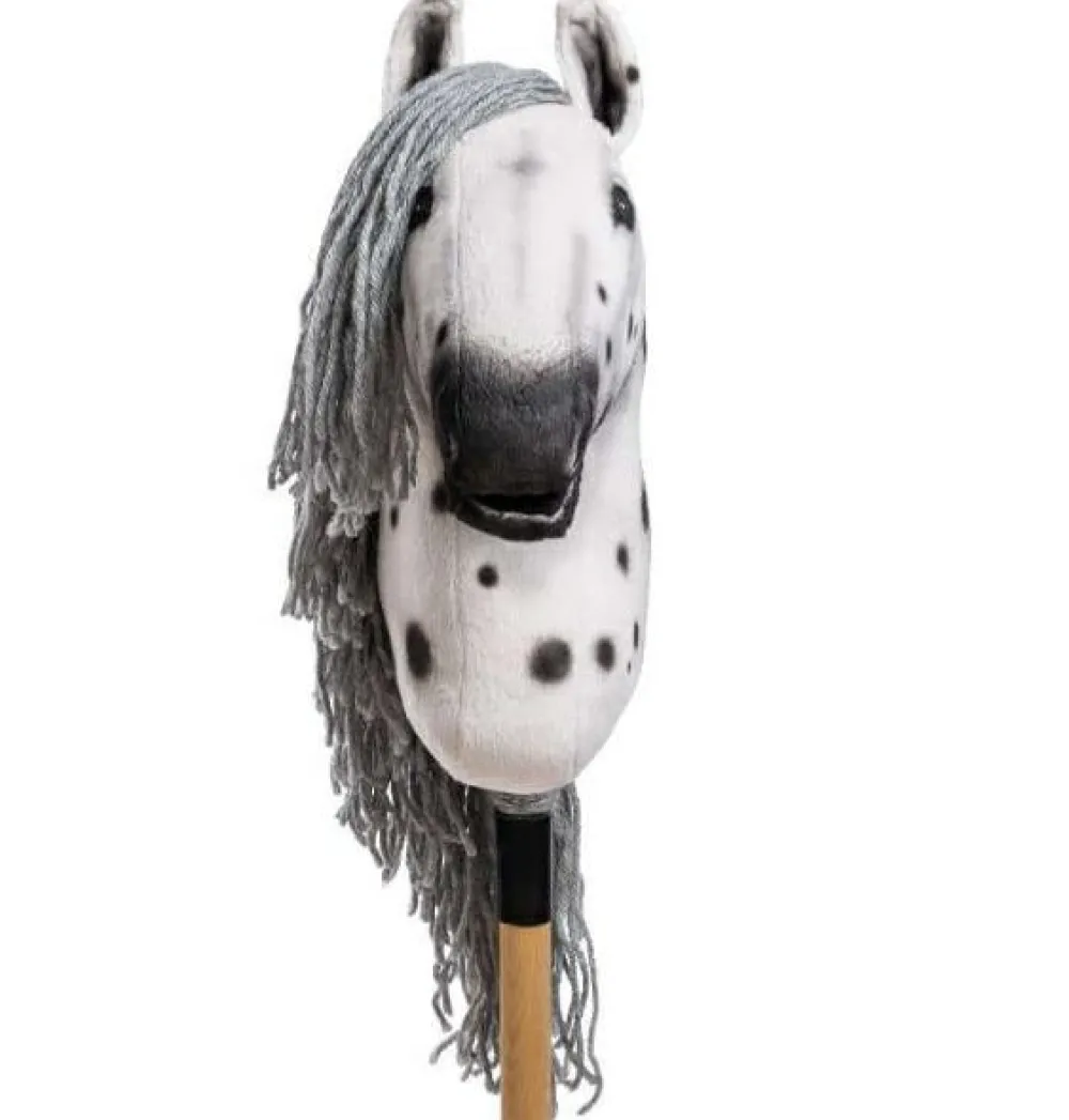 HUMMA kæphest M - Appaloosa "Flashmane"