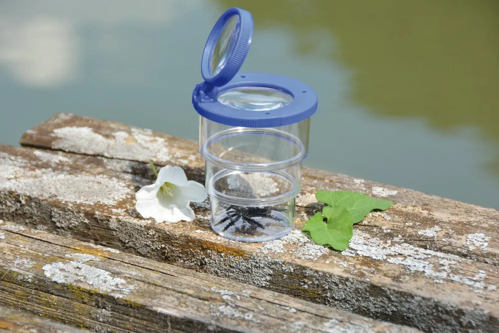 Best Insektglas, foldbart - Ø 7 cm.