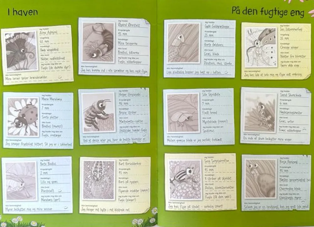 Best Forlaget Bolden Klistermærkebog - Insekter og andre smådyr