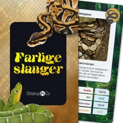 Sale Kortspil - Farlige slanger