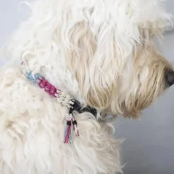 Clearance Creativ Company Kreapose - Lav et hæklet hundehalsbånd