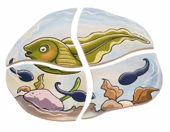 Online Beleduc Lag puslespil - Frøens livscyklus