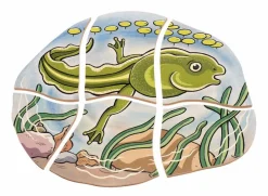 Online Beleduc Lag puslespil - Frøens livscyklus