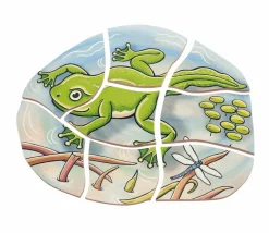 Online Beleduc Lag puslespil - Frøens livscyklus