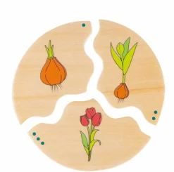 Hot Beleduc Lag puslespil - Livscyklusser