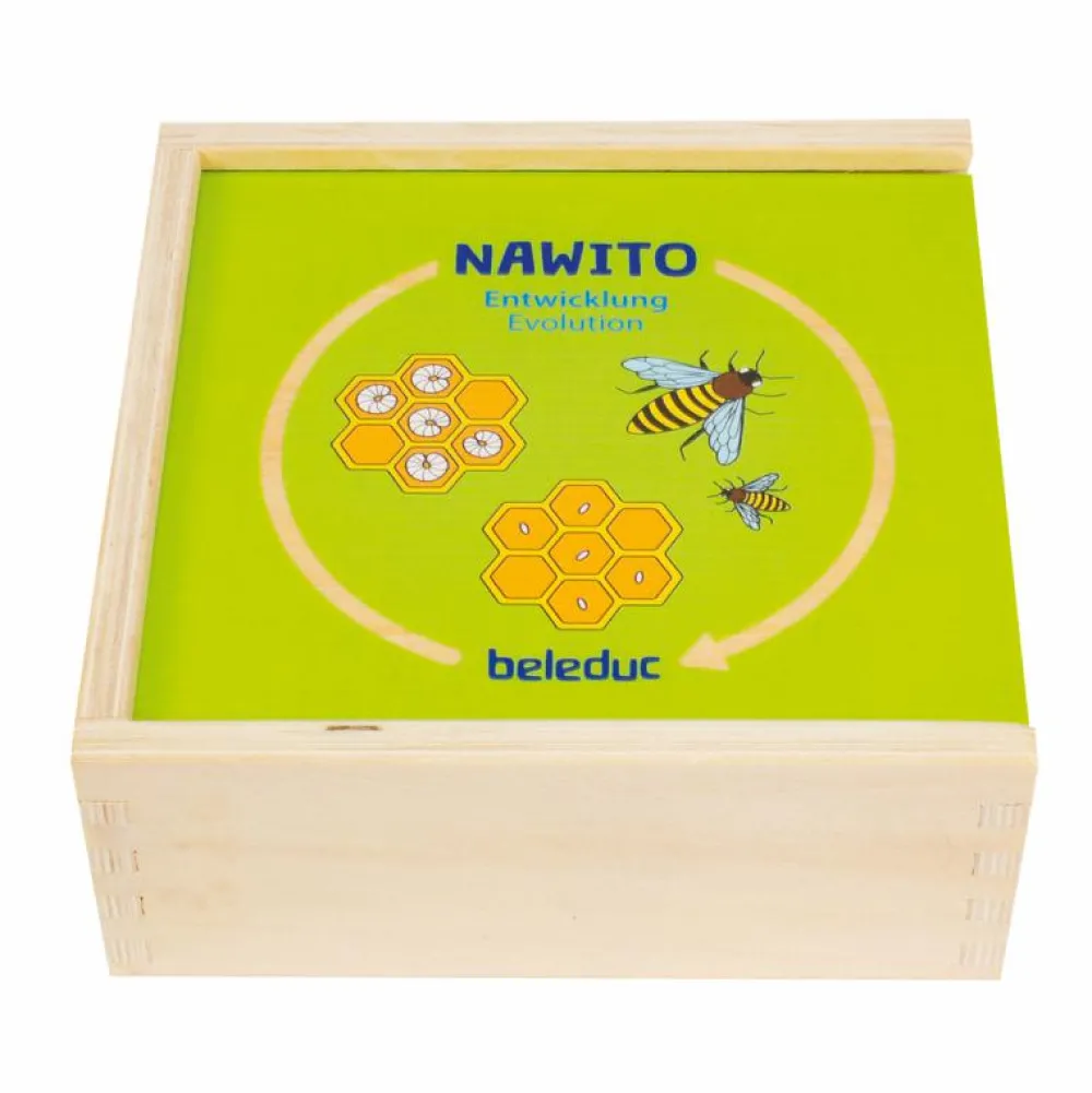 Hot Beleduc Lag puslespil - Livscyklusser