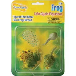 New InsectLore Livscyklus: Fra æg til padde - Frø