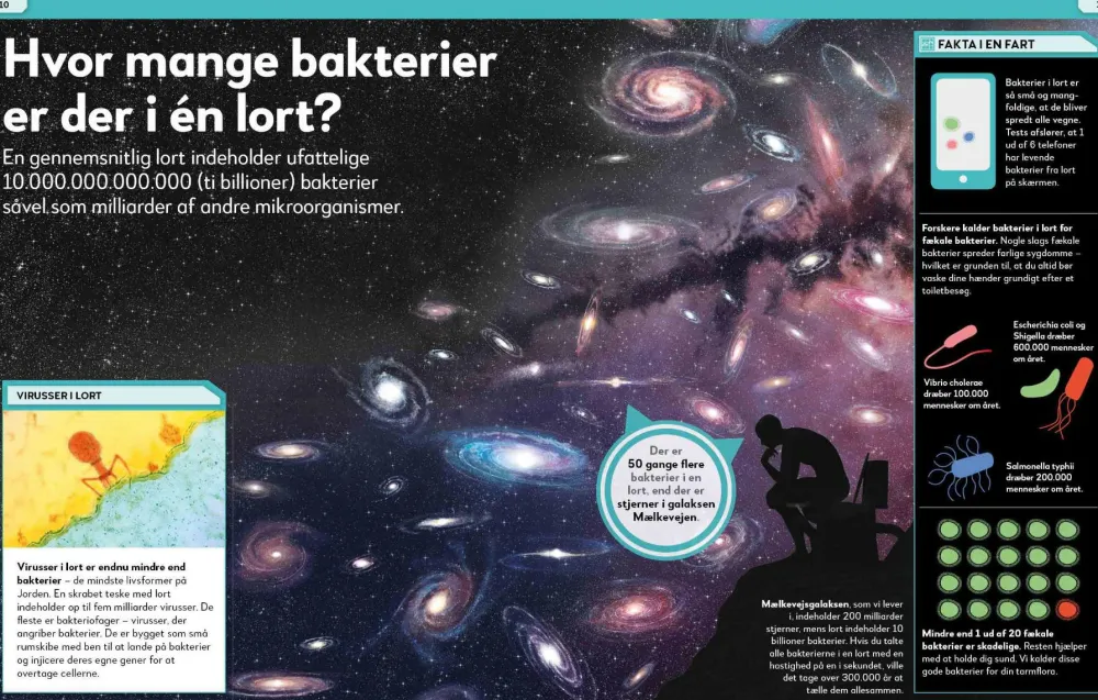 Sale Lort! Skidesjove fakta om at lave stort