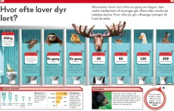 Sale Lort! Skidesjove fakta om at lave stort