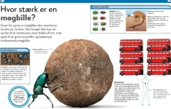 Sale Lort! Skidesjove fakta om at lave stort