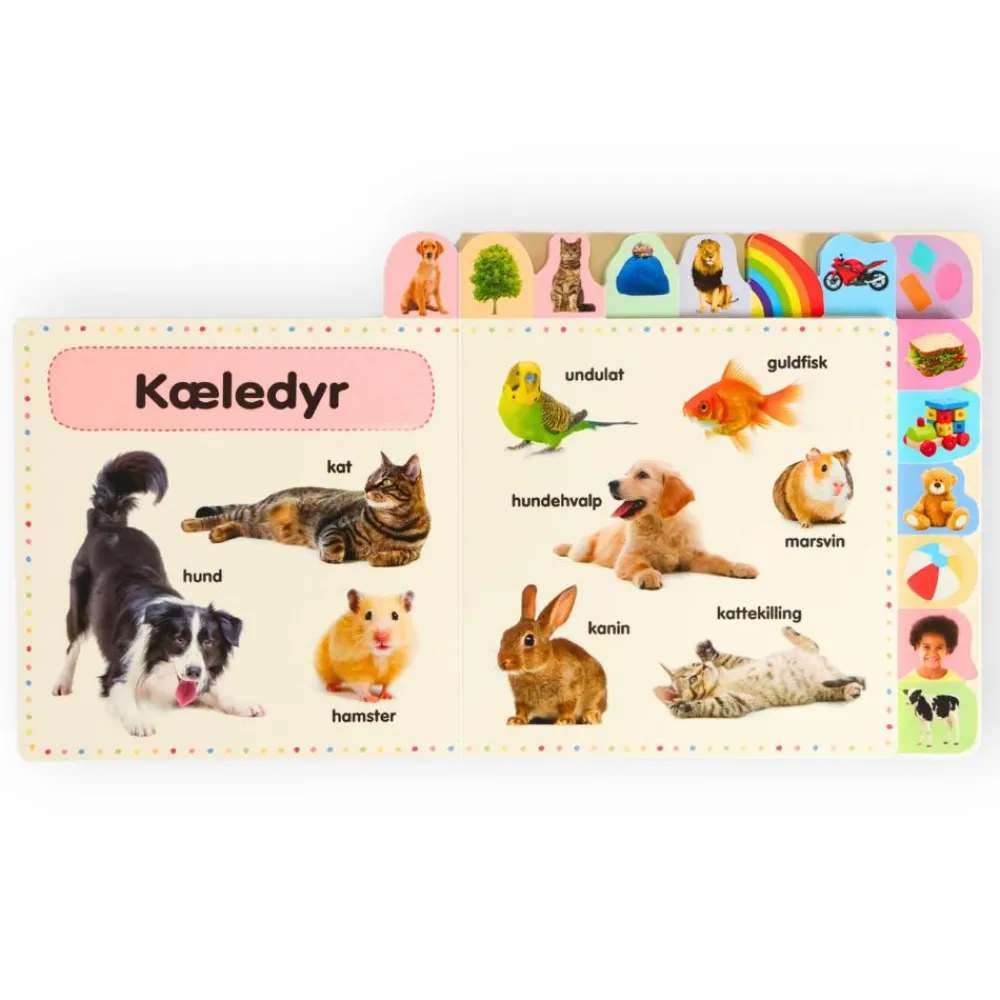 Hot Forlaget Bolden Lær de første 100 ord