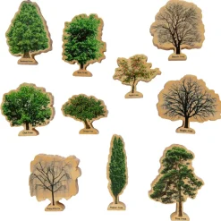 New Lær om træerne og årets gang, 10 stk