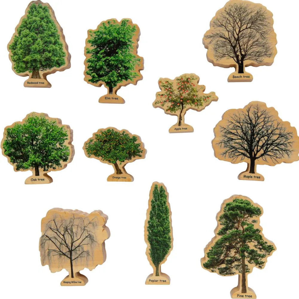 New Lær om træerne og årets gang, 10 stk