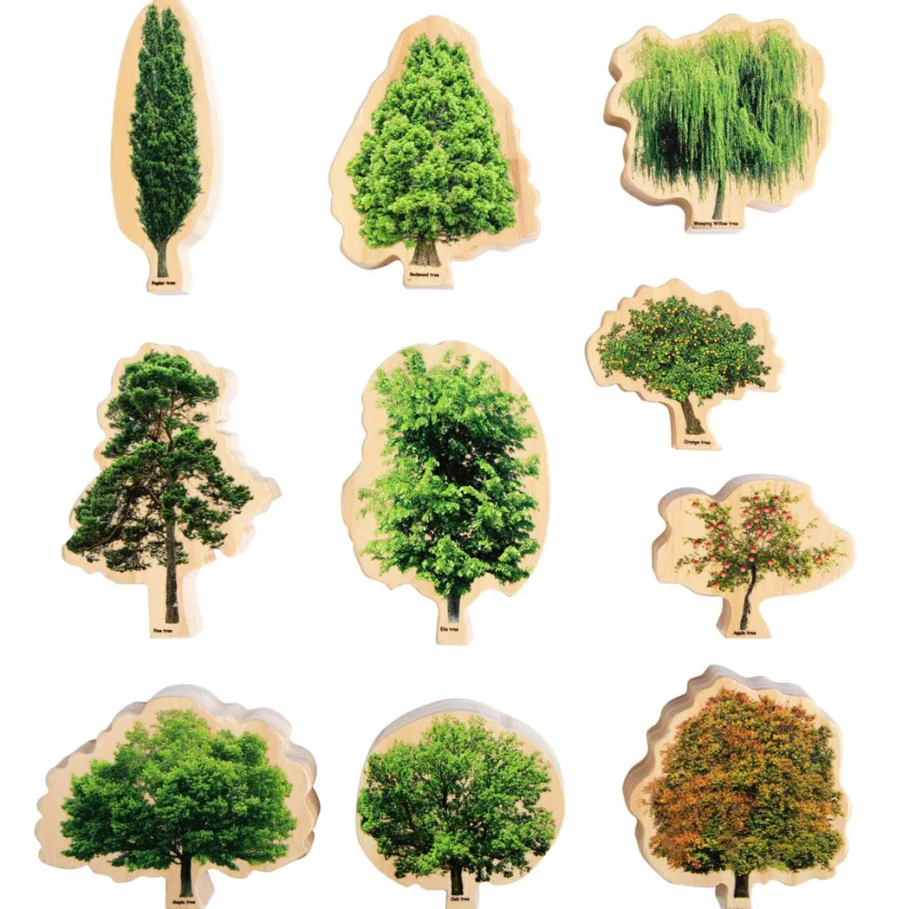 New Lær om træerne og årets gang, 10 stk