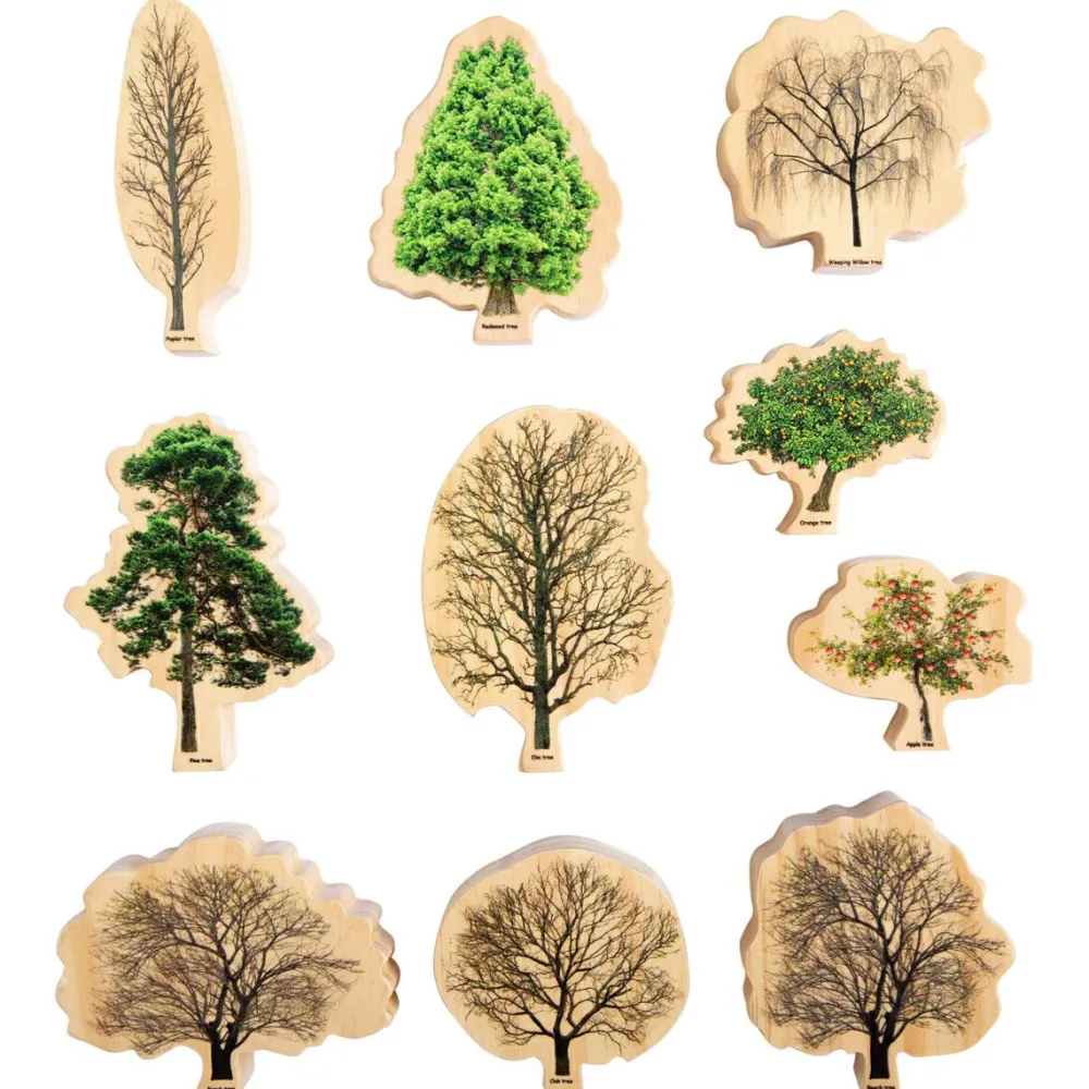 New Lær om træerne og årets gang, 10 stk