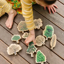 New Lær om træerne og årets gang, 10 stk