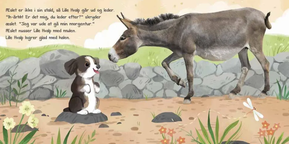 Sale Forlaget Bolden Lyt, rør og føl - Følg lille hvalp