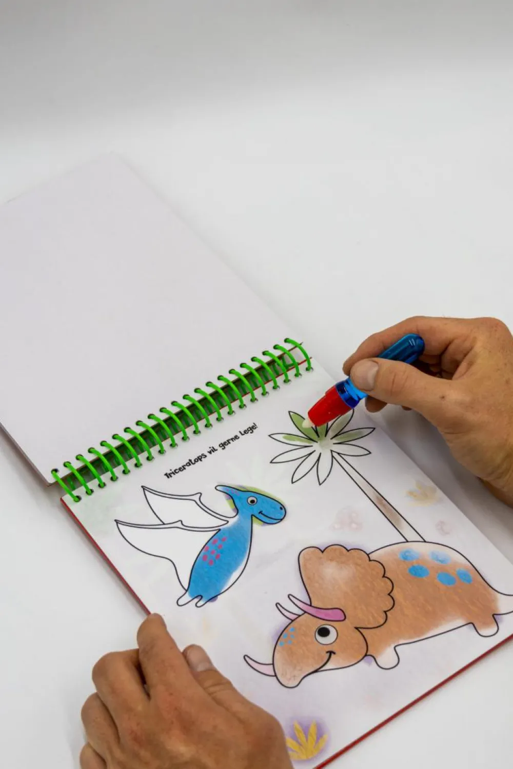 Clearance Forlaget Bolden Magisk malebog: Dinosaurer