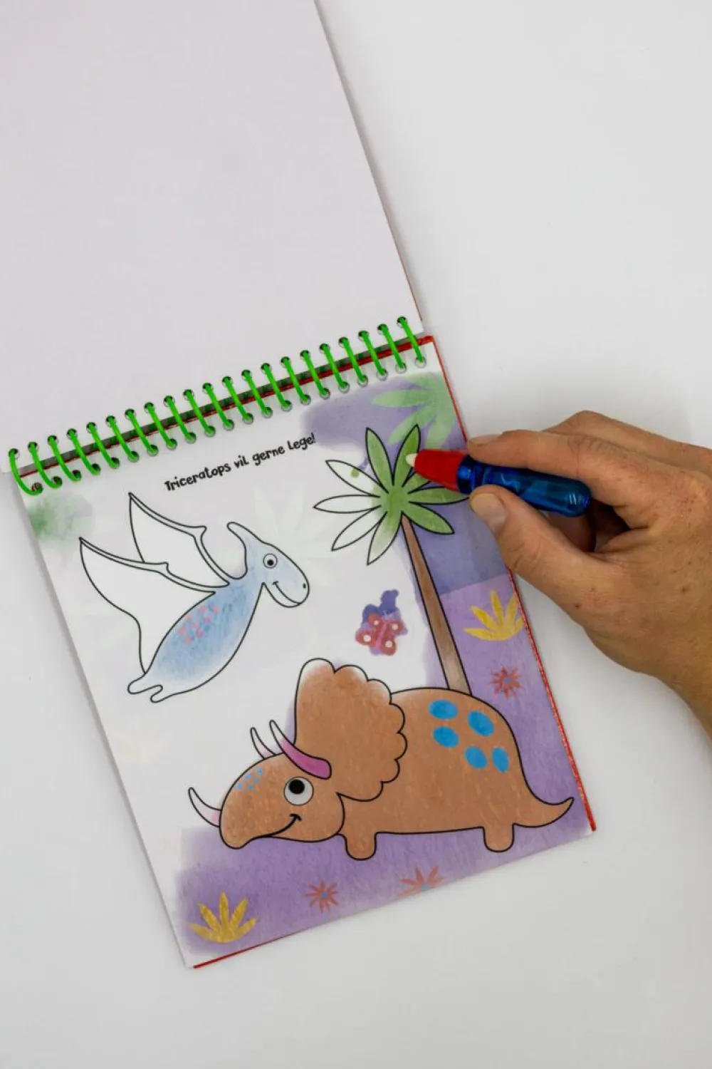 Clearance Forlaget Bolden Magisk malebog: Dinosaurer