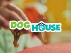 Outlet Magna-Tiles | Det lille hundehus, 13 stk