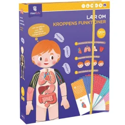 Sale mierEdu Magnetleg - Lær om kroppens funktioner, 120+ dele