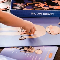 Sale mierEdu Magnetleg - Lær om kroppens funktioner, 120+ dele