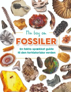 New Forlaget Bolden Min bog om fossiler