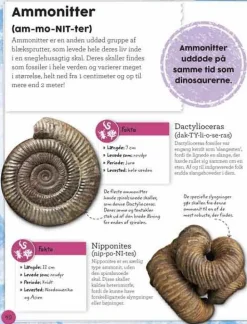 New Forlaget Bolden Min bog om fossiler