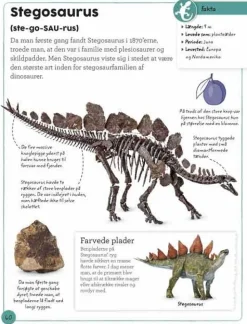 New Forlaget Bolden Min bog om fossiler