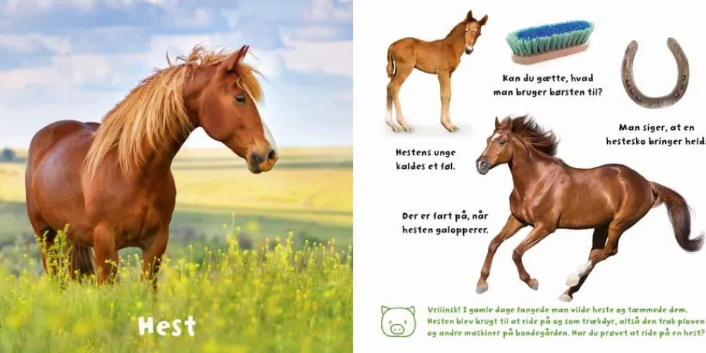 Outlet Forlaget Bolden Min verden i billeder - Bondegården