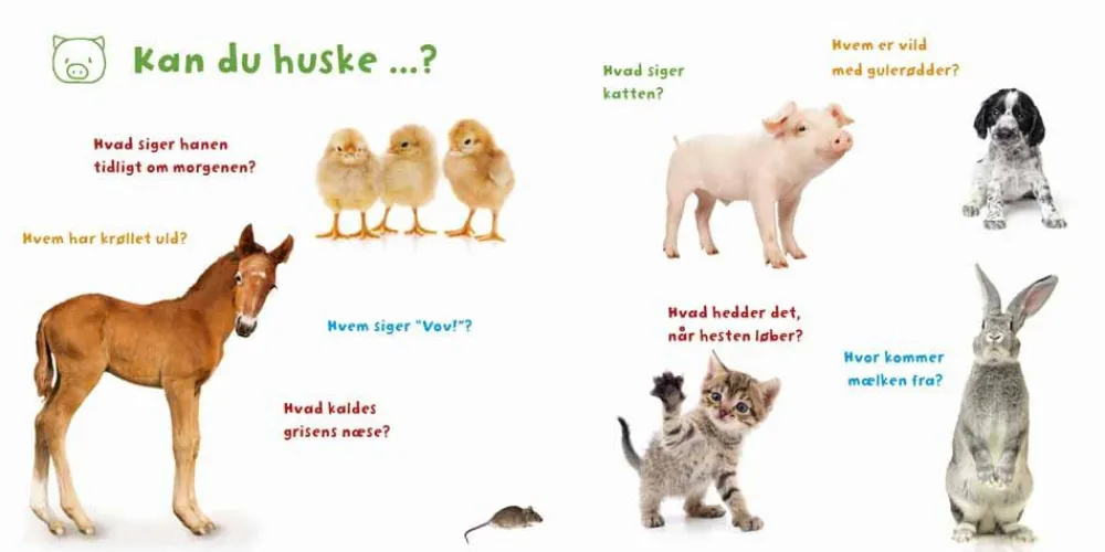 Outlet Forlaget Bolden Min verden i billeder - Bondegården