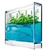 Clearance Myreakvarium med planter