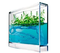 Clearance Myreakvarium med planter