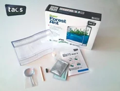 Clearance Myreakvarium med planter